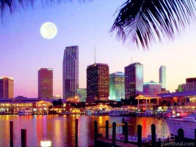 Miami Florida Painting By Numbers Kits