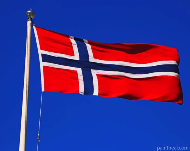 Norway Flag Painting By Numbers Kits