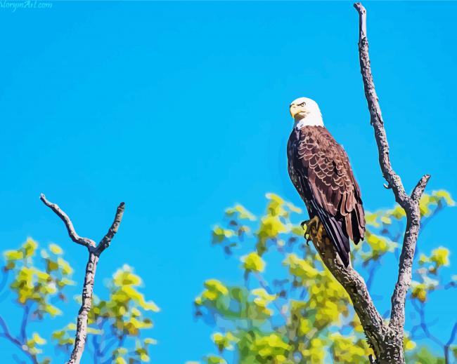 2024 Eagle On A Tree Paint By Number
