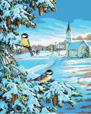 Christmas snow birds paint by number