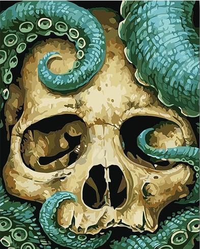 Skull Octopus Animals Paint By Numbers