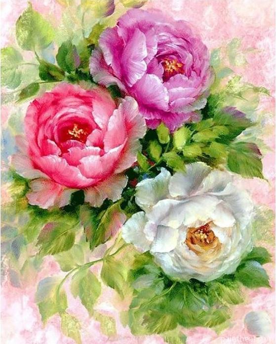 Pink Red and White Flowers Flowers Painting By Numbers Kits