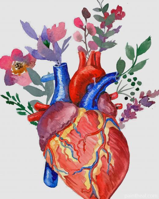 Floral Heart NEW Painting By Numbers Kits