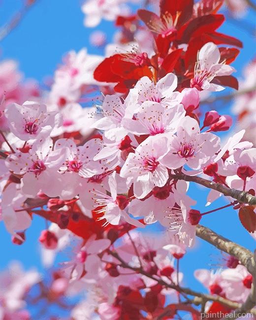 Japanese Cherry Blossom NEW Painting By Numbers Kits