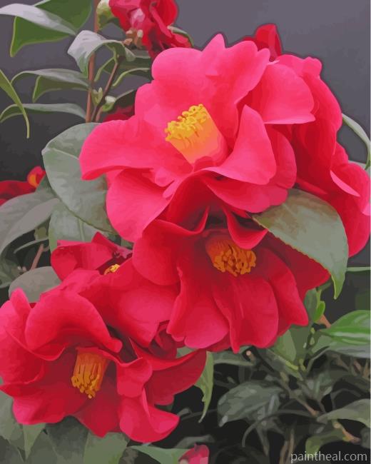 Red Camellia Painting By Numbers Kits