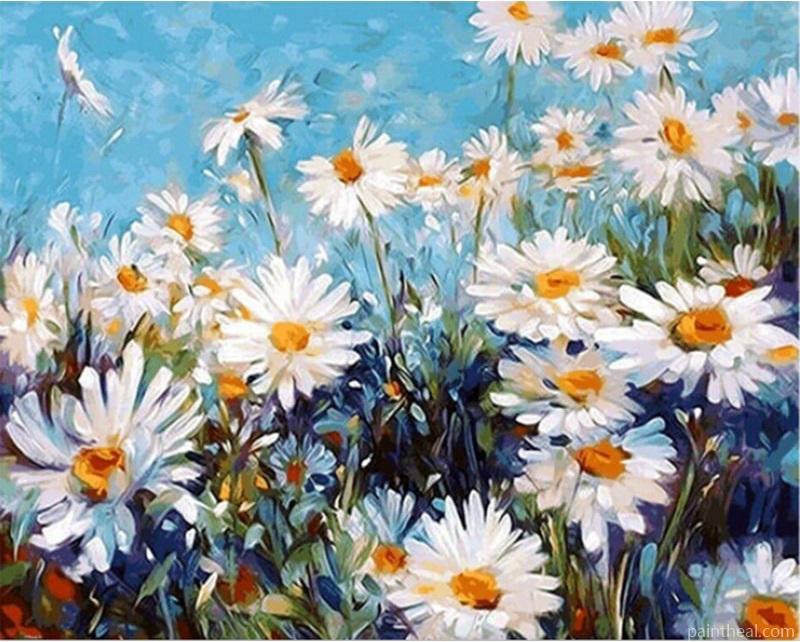 White Flowers Field Painting By Numbers Kits