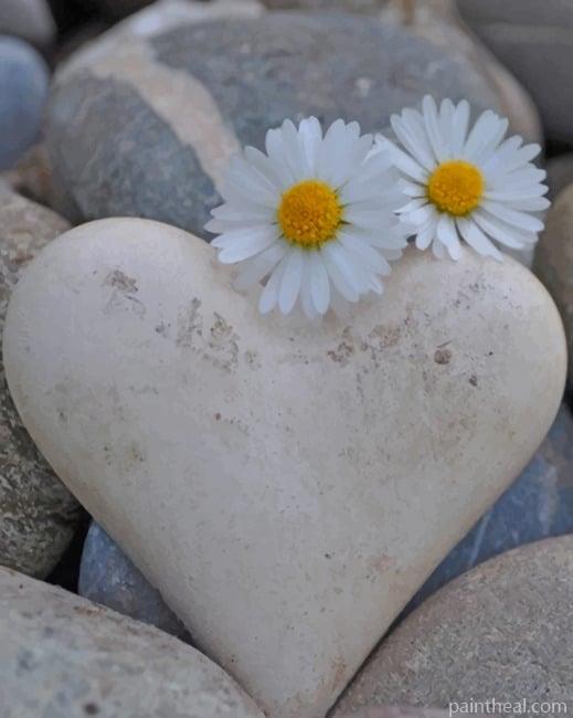 White Flowers And Heart Shape NEW Painting By Numbers Kits
