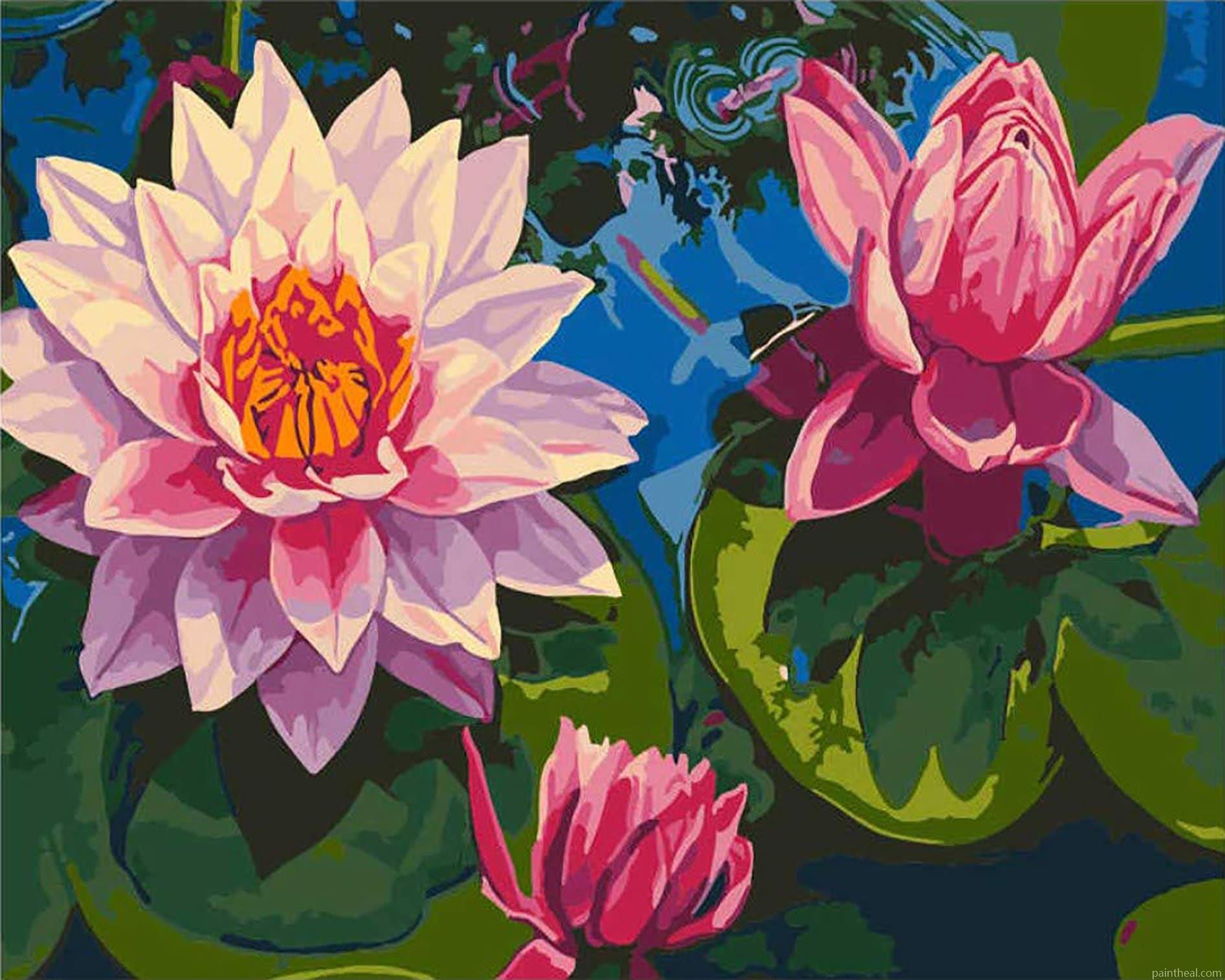 Lotus Flower On Water Flowers Painting By Numbers Kits