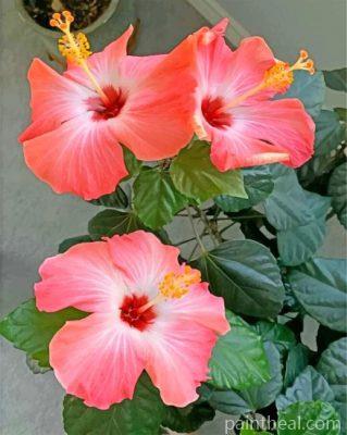 Aesthetic Hibiscus Painting By Numbers Kits