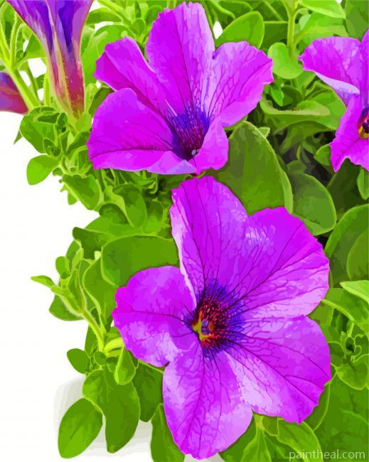 Purple Petunia Painting By Numbers Kits