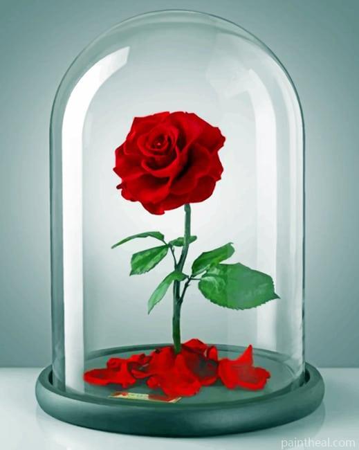Red Rose Flowers Painting By Numbers Kits