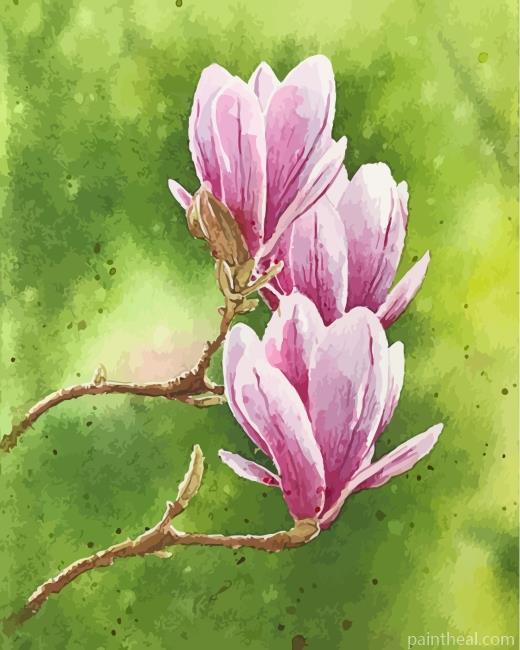 Pink Magnolias Painting By Numbers Kits