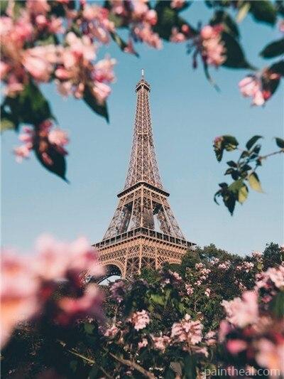 Paris Eiffel Tower In Spring Cities Painting By Numbers Kits