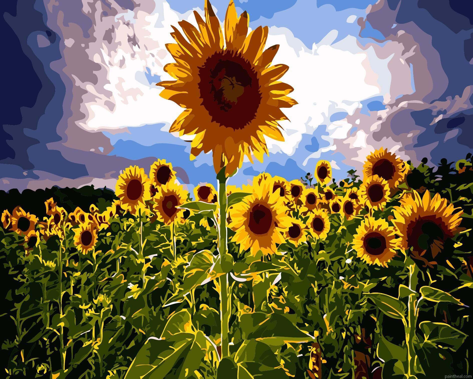 Nature Sunflowers Flowers Painting By Numbers Kits