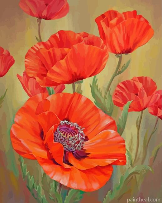Red Poppies Painting By Numbers Kits