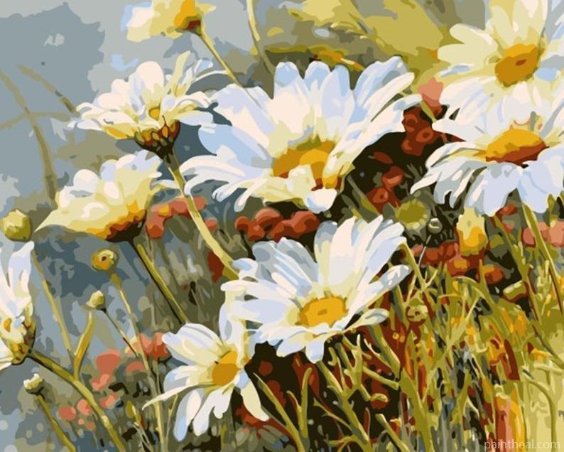 White Flower DIY Painting By Numbers Kits