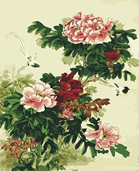 Chinese Peony Flowers Flowers Painting By Numbers Kits