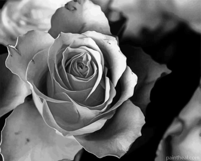 Aesthetic Rose Painting By Numbers Kits