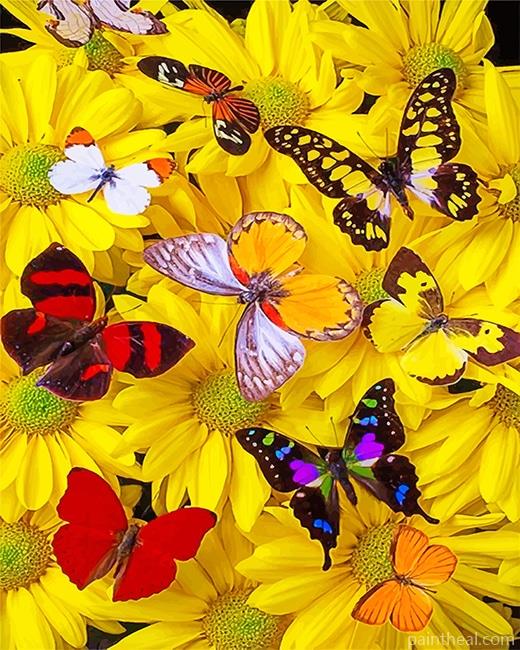 Butterflies Yellow Flowers NEW Painting By Numbers Kits