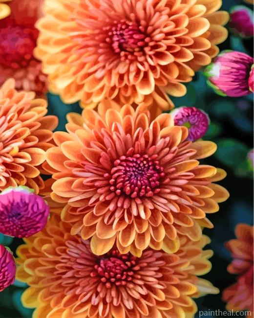 Aesthetic Chrysanthemum Painting By Numbers Kits