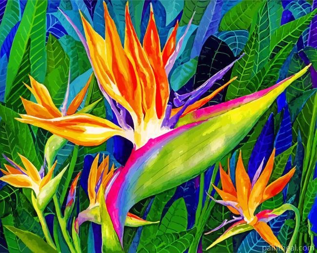 Bird Of Paradise Art Painting By Numbers Kits