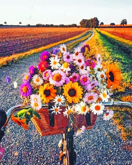 Flowers And Bike Landscapes Painting By Numbers Kits