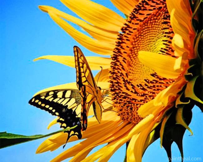 Aesthetic Butterfly And Flower Insects Painting By Numbers Kits