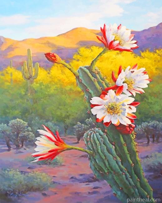 White Red Flowers And Cactus NEW Painting By Numbers Kits