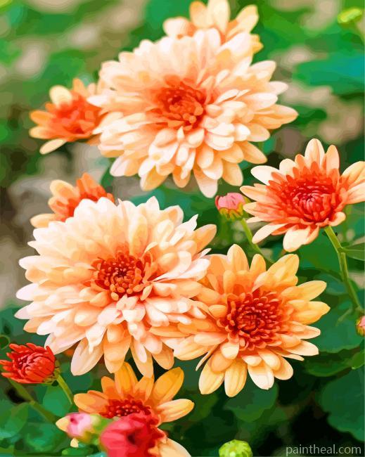 Beautiful Chrysanthemum Painting By Numbers Kits