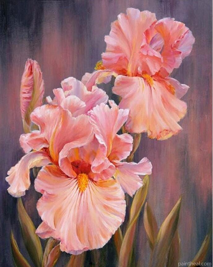 Rose Flower Hand Painted Abstract Oil Painting DIY Painting By Numbers Kits