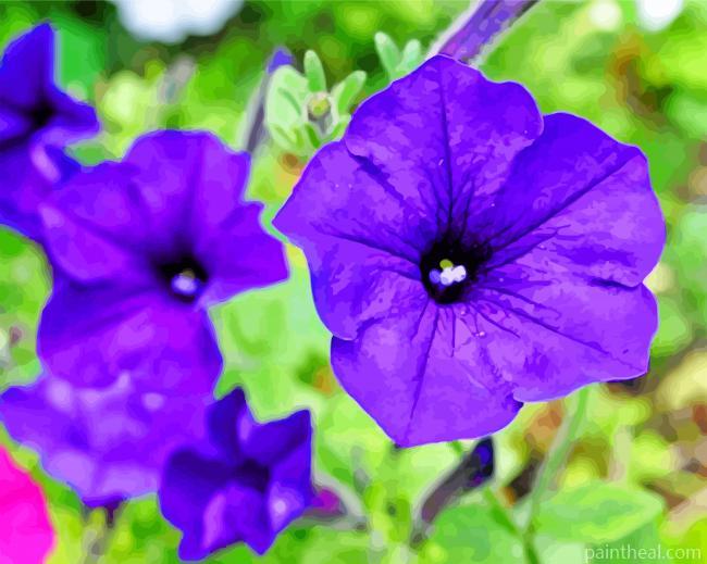 Blue Petunia Painting By Numbers Kits