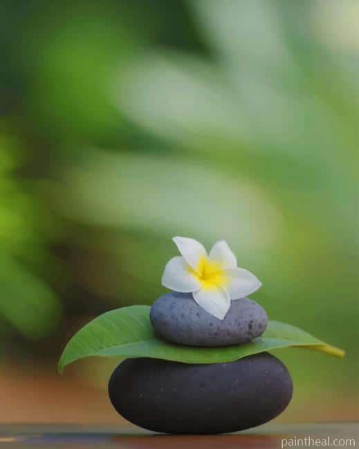 Meditation White Flower and black Rocks NEW Painting By Numbers Kits