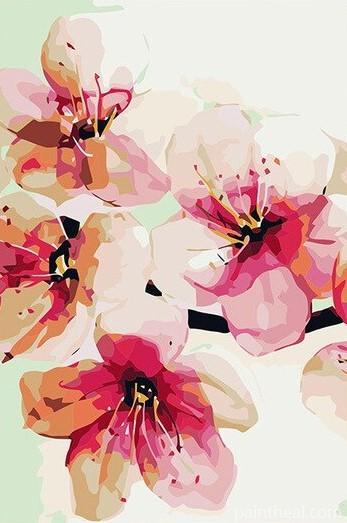 Peach Blossom Flowers Painting By Numbers Kits