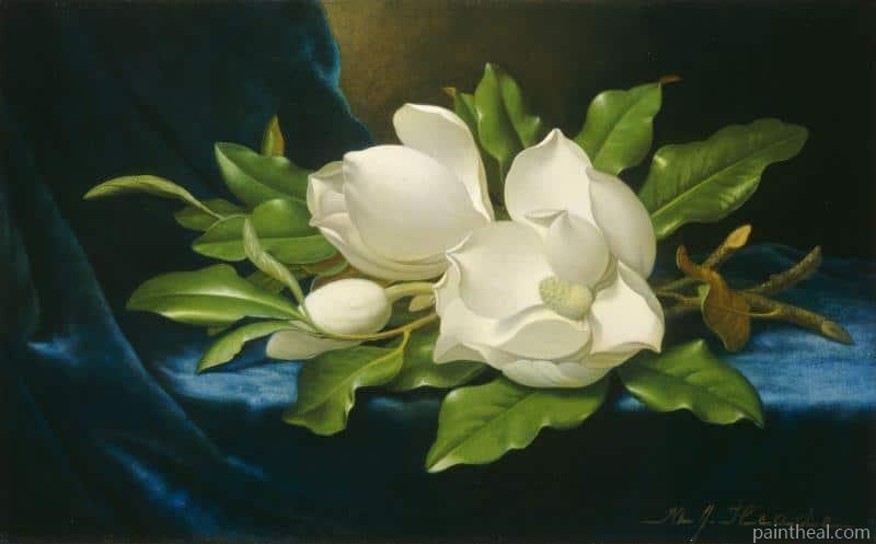 Magnolias On A Blue Velvet Cloth Flowers Painting By Numbers Kits