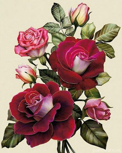 Rose Red Flower Flowers Painting By Numbers Kits