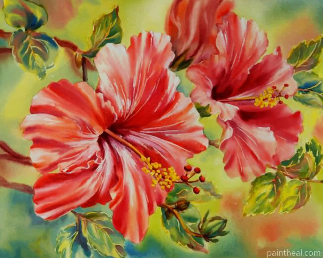 Red White Hibiscus Painting By Numbers Kits