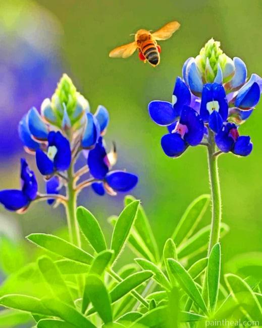 Texas bluebonnet Painting By Numbers Kits