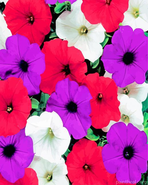 Petunia Flowering Plants Painting By Numbers Kits