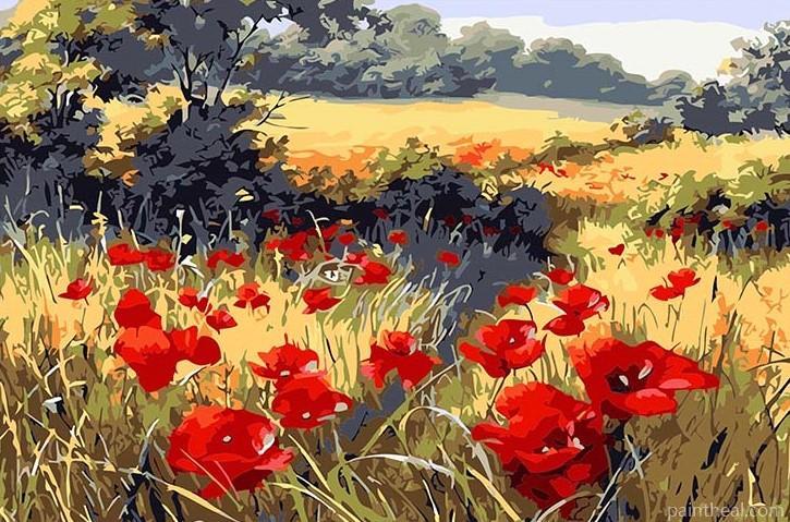 Red Poppy Flowers Field Landscape Painting By Numbers Kits