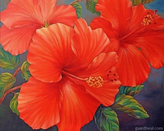 Red Hibiscus Painting By Numbers Kits