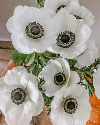 White Anemone Plants Painting By Numbers Kits