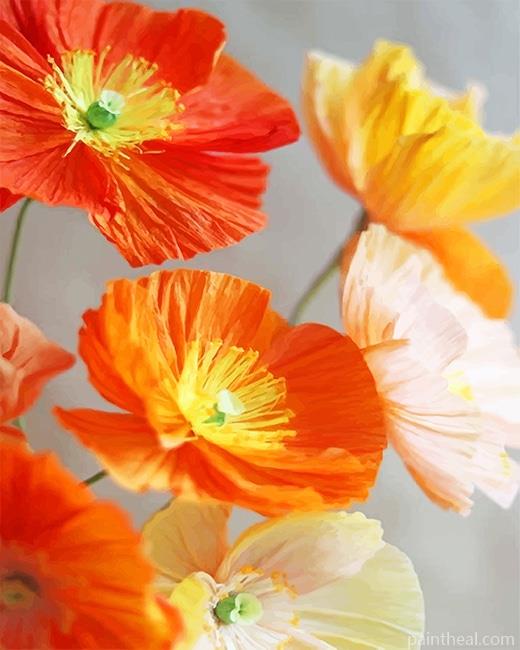 Orange And Yellow Poppies Flowers NEW Painting By Numbers Kits