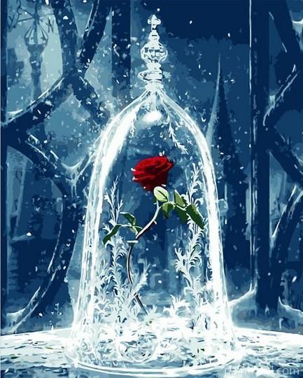 Glass Rose Flowers Painting By Numbers Kits