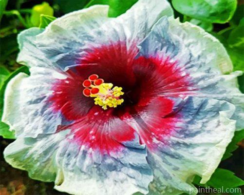 Aesthetic Hibiscus Flower Painting By Numbers Kits