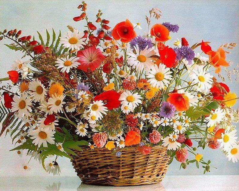 Home Flowers DIY Painting By Numbers Kits