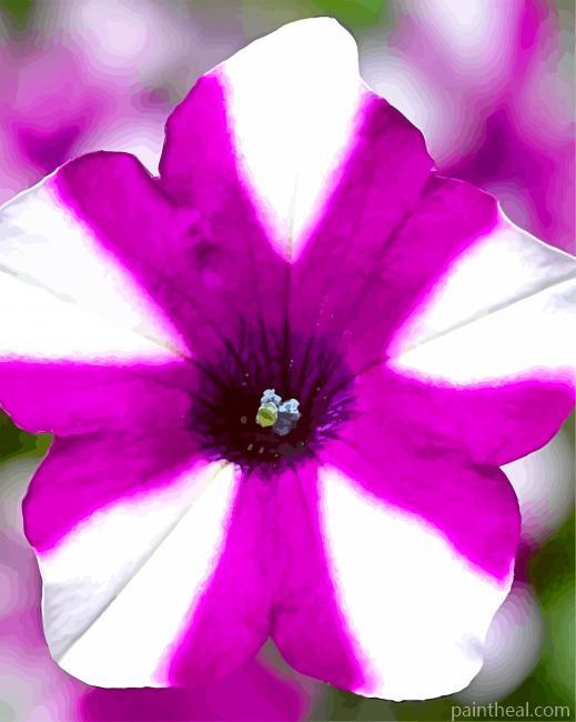 Blooming Petunia Painting By Numbers Kits