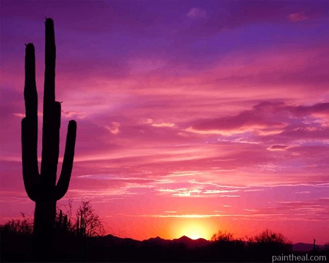 Beautiful Cactus Sunset NEW Painting By Numbers Kits