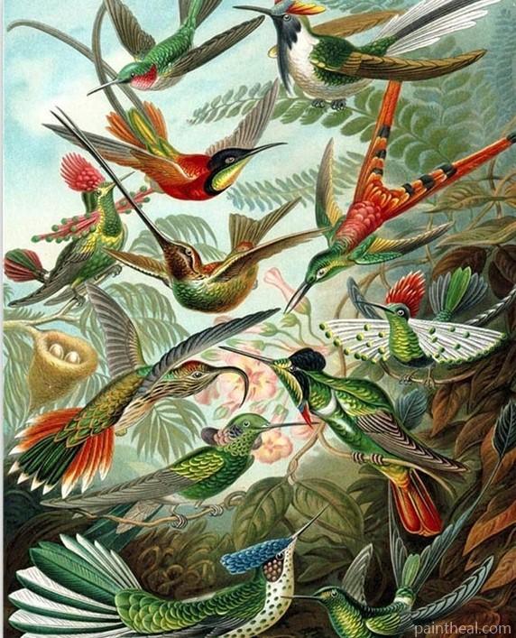 Birds Flock Painting By Numbers Kits