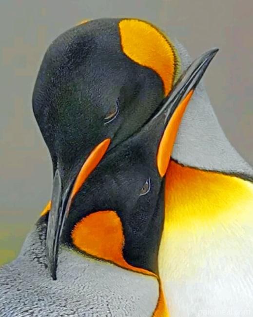 Couple Penguins Painting By Numbers Kits