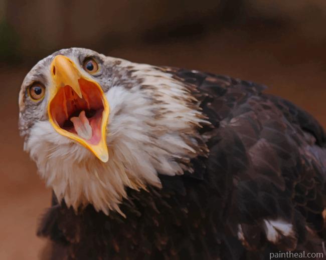 Eagle Bird Scream Painting By Numbers Kits